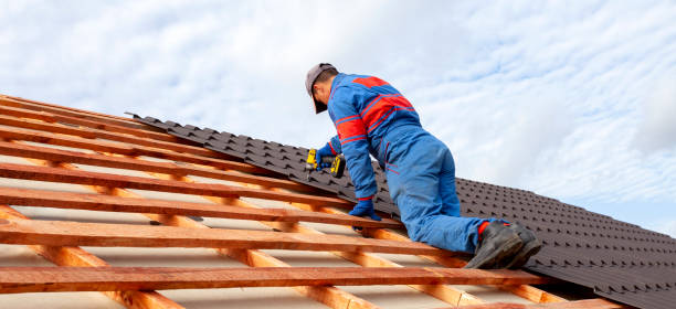 Best Roof Moss and Algae Removal  in Swissvale, PA